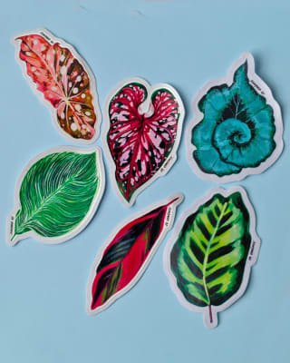 Set stickers hojas tropicales