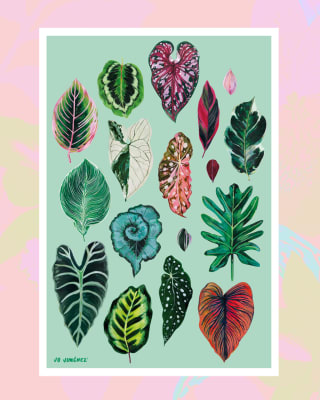 Print Fine art Tropicalia