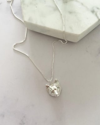 COLLAR Perrito