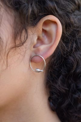 AROS PAJARITOS EN MI VENTANA