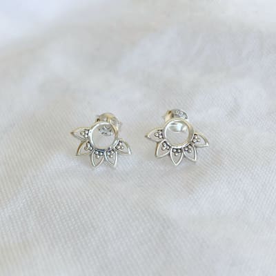 Aros Paloma1