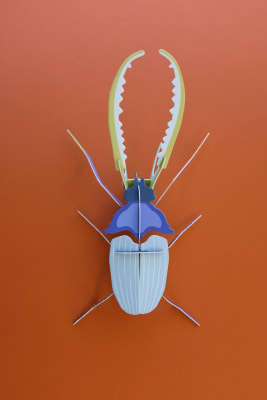 Ciervo volante Azul Armable para pared