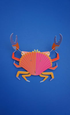 jaiba marmola Naranja Armable para pared