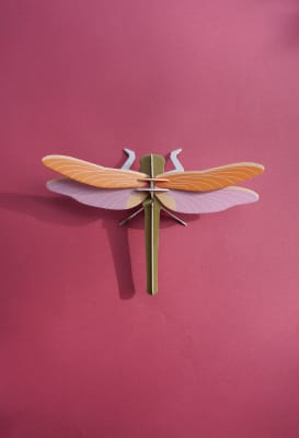 Libélula / Matapiojos | Amanecer