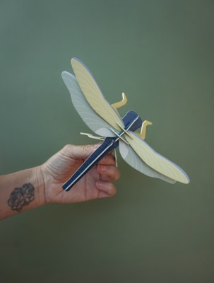 Libélula / Matapiojos | Nocturna