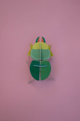 Escarabajo borrachito | Turquesa1