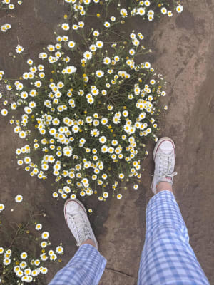 Patas Cuadrillé celeste desgastado3