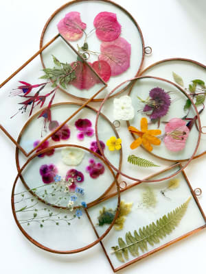 Cuadros Flores Prensadas