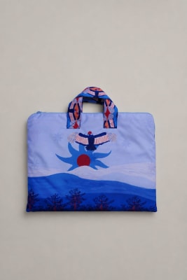 Estuche condor1