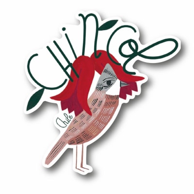 STICKER CHINCOL
