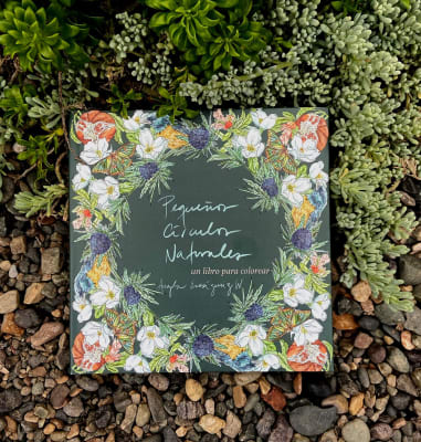 Libro Pequeños Círculos Naturales por Angela Errázuriz2