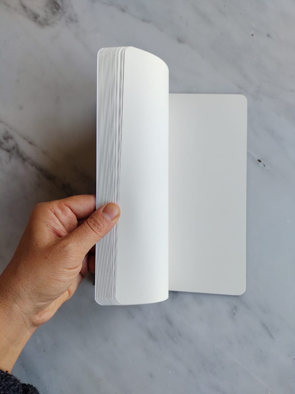 Sample Fashion Product