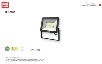 PROYECTOR 30W 6500 NEGRO ROBLAN1