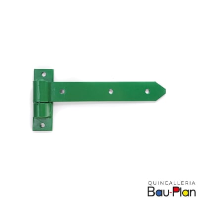 ALCAYATA PLANA 10 (PAR)1