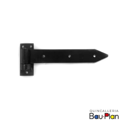 ALCAYATA PLANA 15 (PAR)1