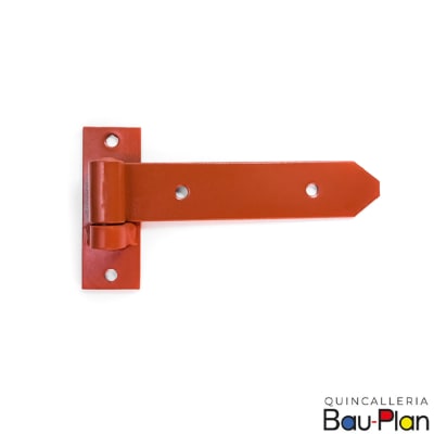 ALCAYATA PLANA 6 (PAR)1