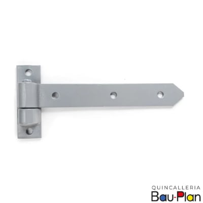 ALCAYATA PLANA 8 (PAR)1