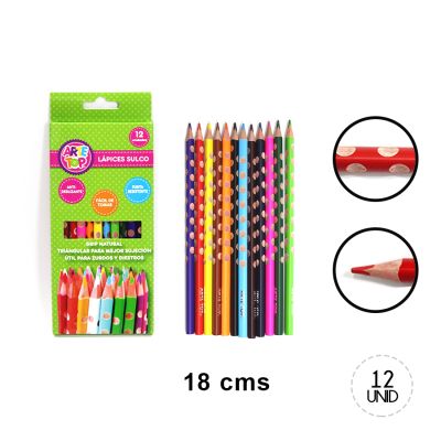 12 LAPICES DE COLORES CON SULCO