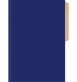 CARPETA CARTULINA PIGMENTADA AZUL