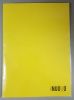 CARPETA PLASTIFICADA CON FASTENER AMARILLO