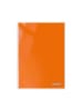 CARPETA  PLASTIFICADA  NARANJO