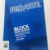 BLOCK PARA CROQUIS 22 X 32 cms 100 HJ.