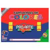 EST.CARTULINA PINTADA 18 HJS.17 COL surt 26,5x37,5