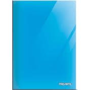 CARPETA PLASTIFICADA CELESTE PROARTE