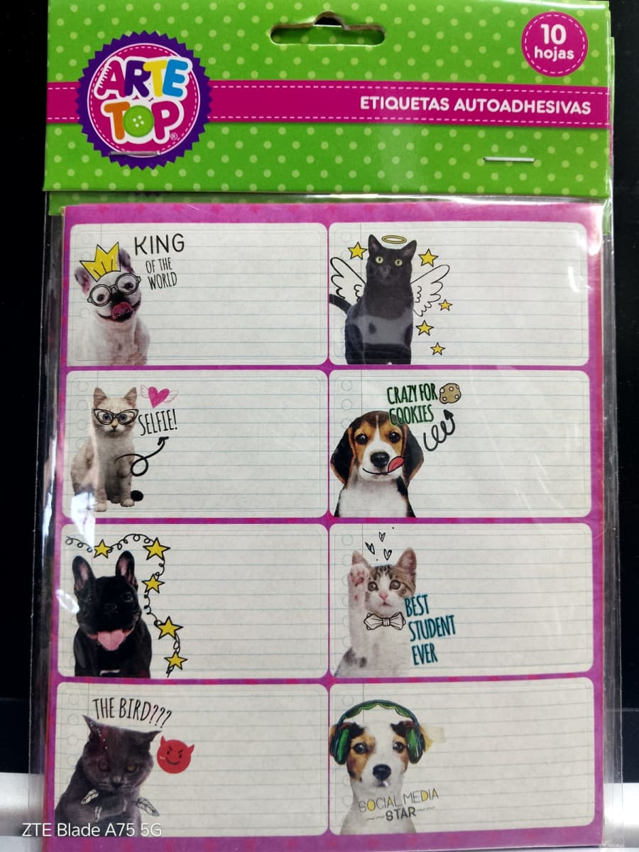 ETIQUETA DE CUADERNO GIRLS