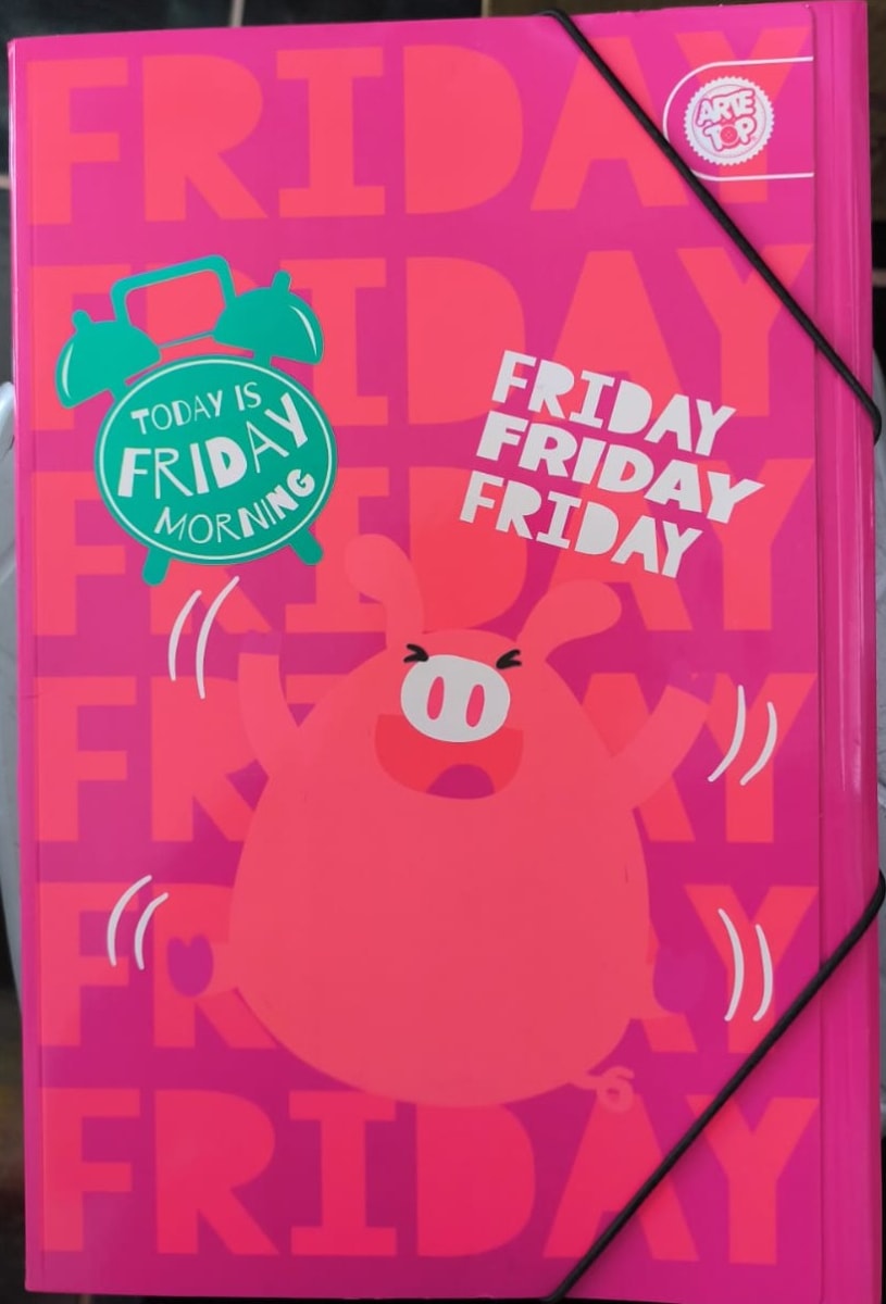 CARPETA CON ELASTICO NUOVO OFFICE MUJER NIÑA 2