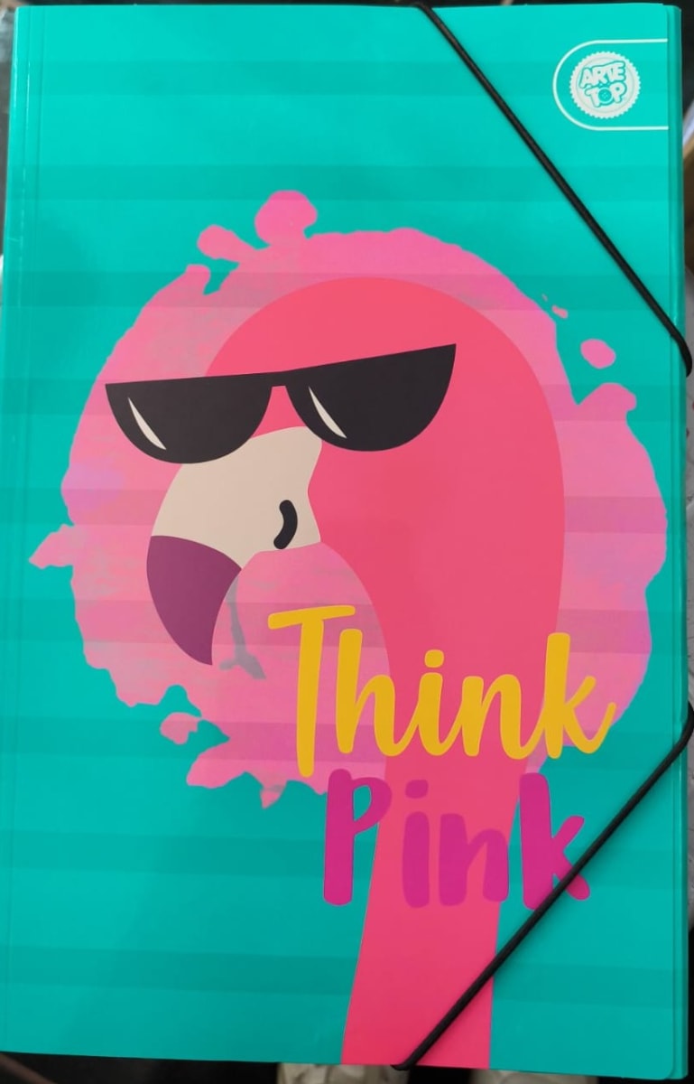 CARPETA CON ELASTICO NUOVO OFFICE MUJER NIÑA 2