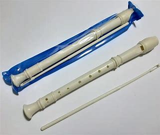 FLAUTA DULCE PLASTICA