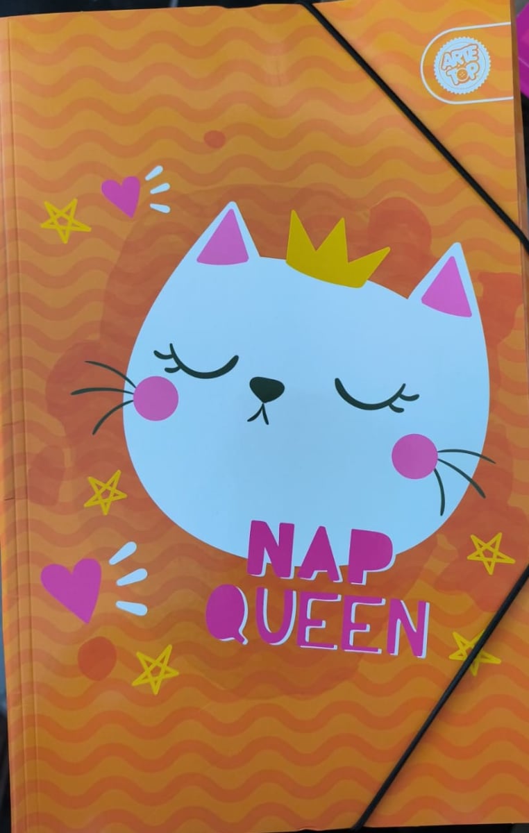 CARPETA CON ELASTICO NUOVO OFFICE MUJER NIÑA 2