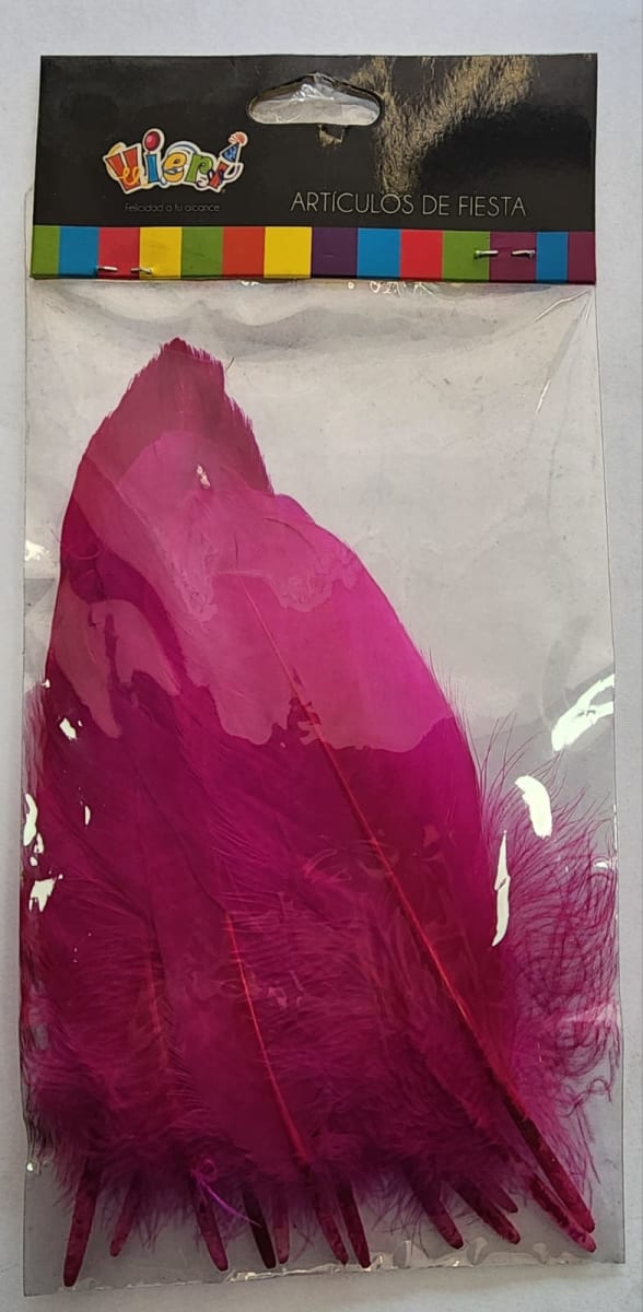 SET 12 PLUMAS 20 CMS FUCSIA 300 DC19B