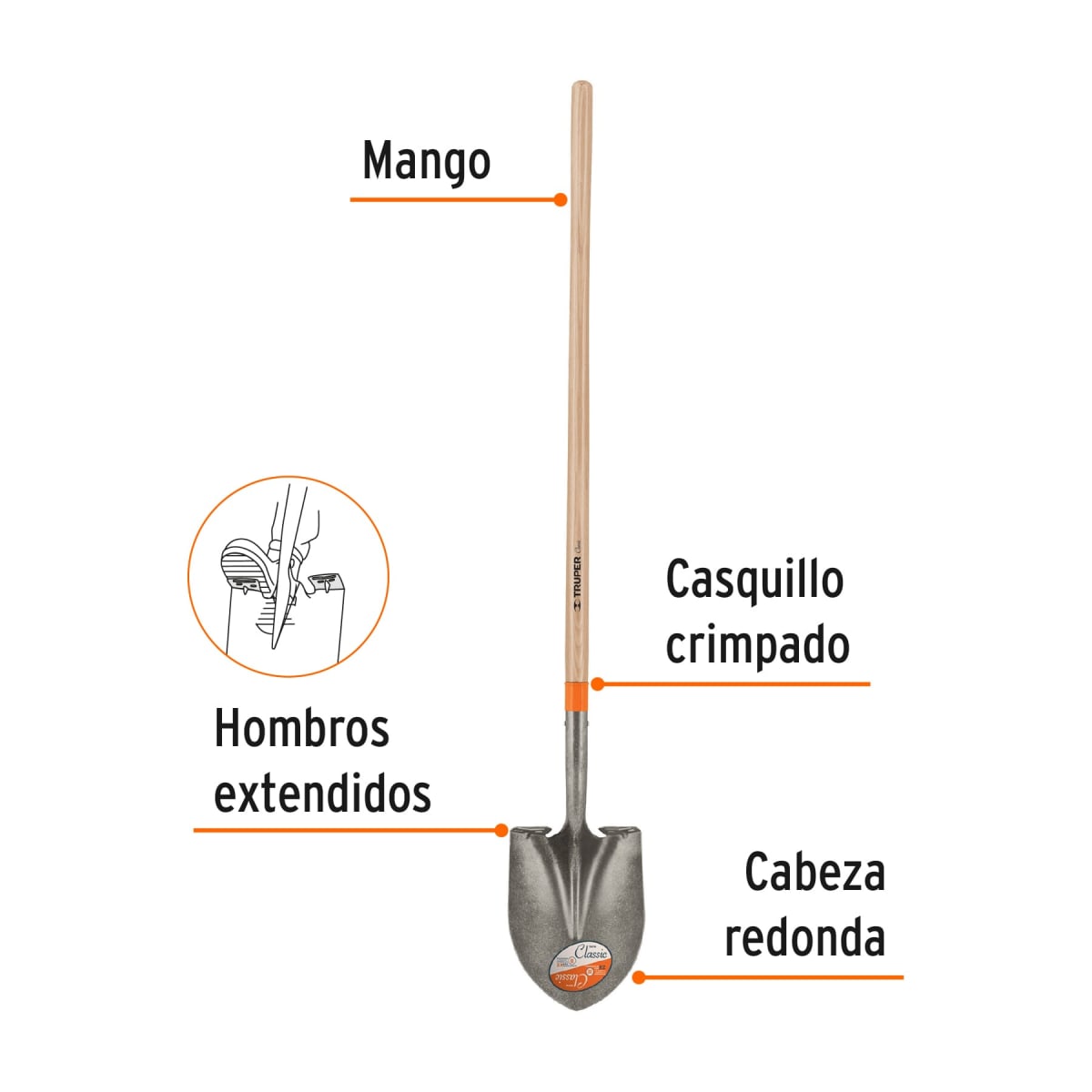 PALA CLASSIC PUNTA HUEVO REDONDA MANGO LARGO2