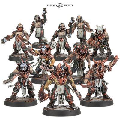 CORPSE GRINDER CULT