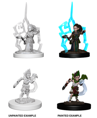 PATHFINDER DEEP CUTS UNPAINTED MINIATURES GNOME FEMALE DRUID