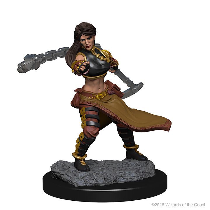 D&D NOLZUR'S MARVELOUS UNPAINTED MINIS: HUMAN FEMALE MONK3