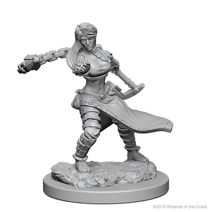 D&D NOLZUR'S MARVELOUS UNPAINTED MINIS: HUMAN FEMALE MONK2