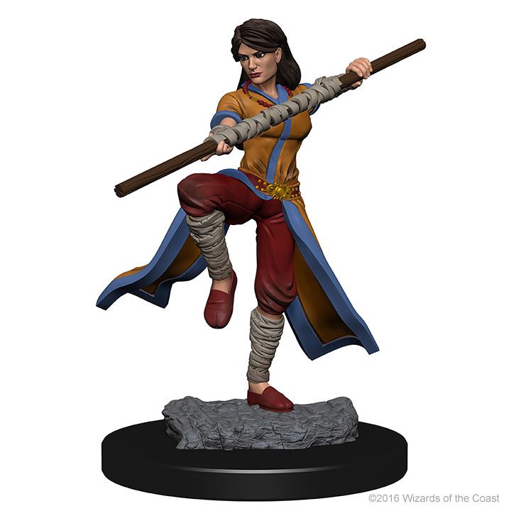 D&D NOLZUR'S MARVELOUS UNPAINTED MINIS: HUMAN FEMALE MONK4