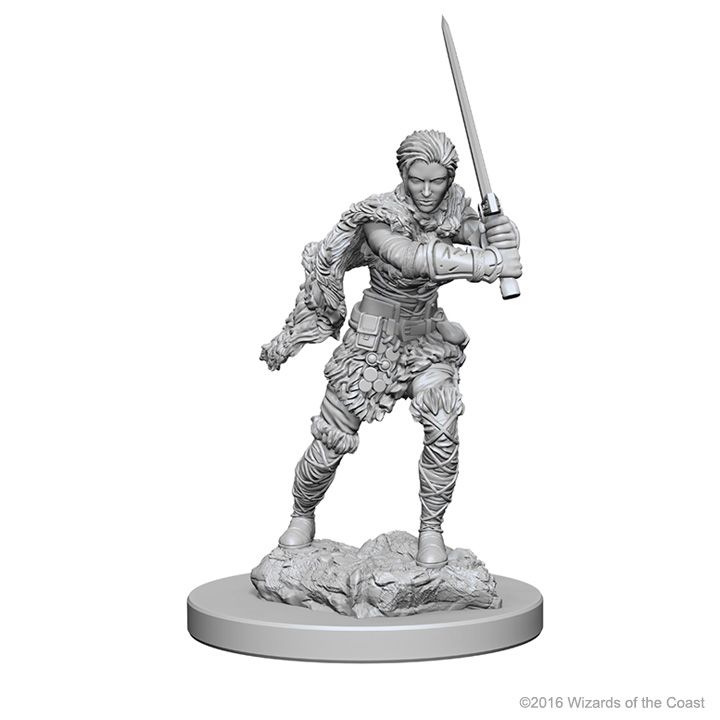 D&D NOLZUR'S MARVELOUS UNPAINTED MINIS: HUMAN FEMALE BARBARIAN OLD2