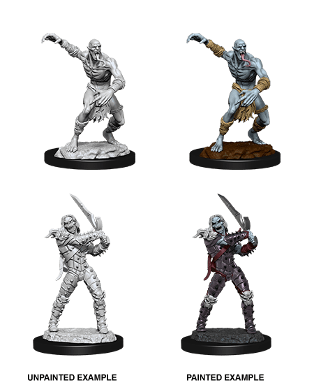 D&D NOLZUR'S MARVELOUS MINIATURES WIGHT & GHAST1
