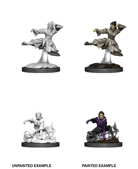 D&D NOLZUR'S MARVELOUS MINIATURES FEMALE HUMAN MONK1