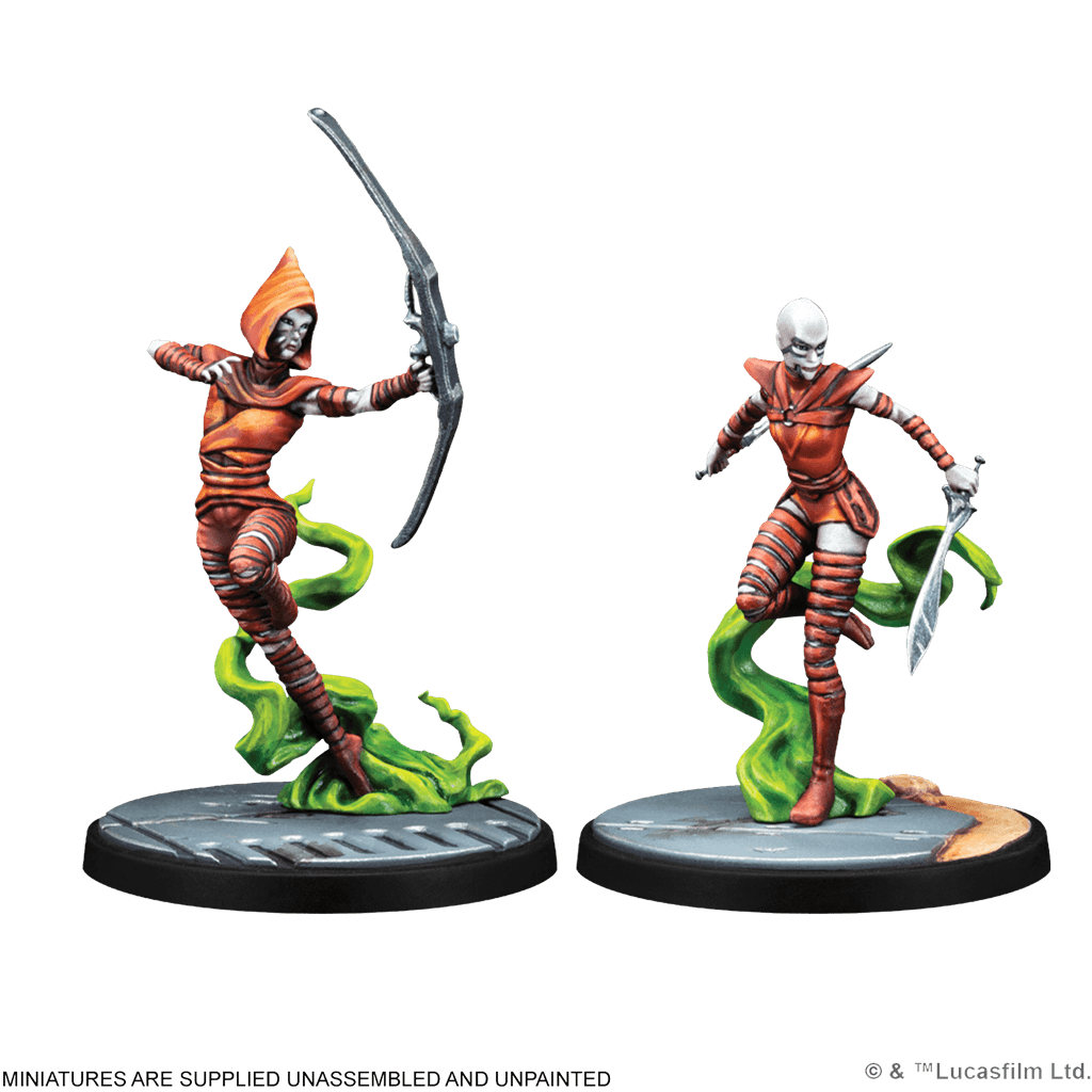 SW SHATTERPOINT - WITCHES OF DATHOMIR SQUAD PACK1