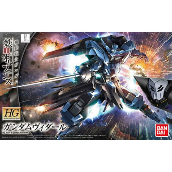 HG 1/144 GUNDAM VIDAR1