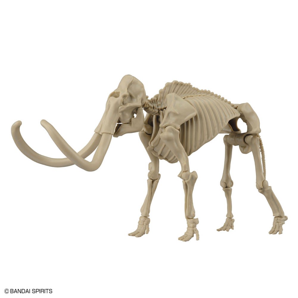EXPLORING LAB NATURE MAMMOTH1