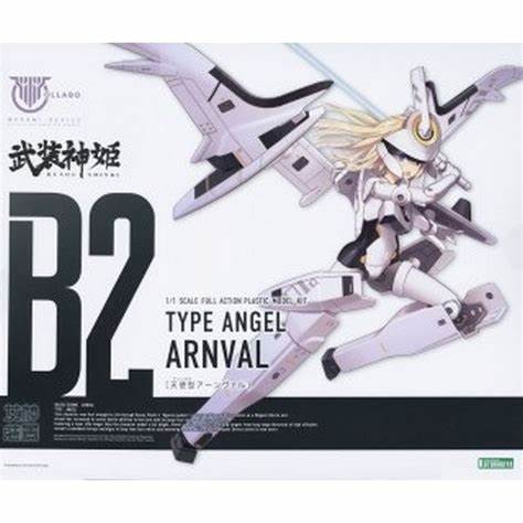 TYPE ANGEL ARNVAL1