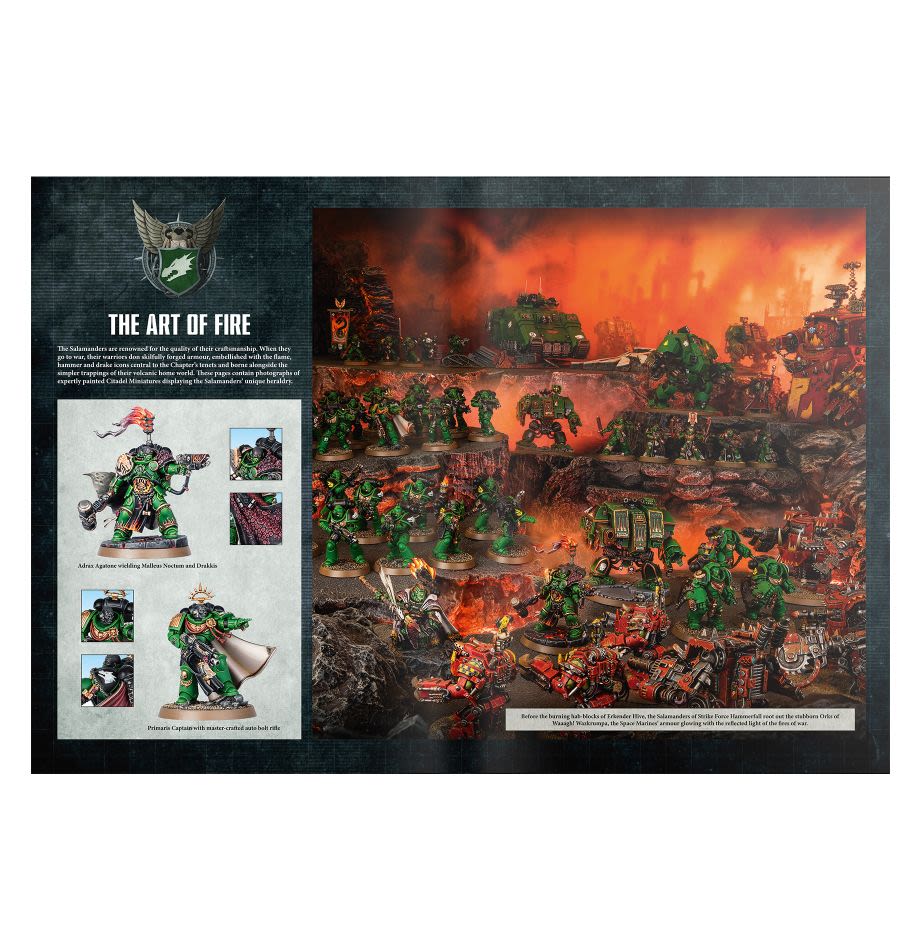 CODEX: SALAMANDERS (ESPAÑOL)5