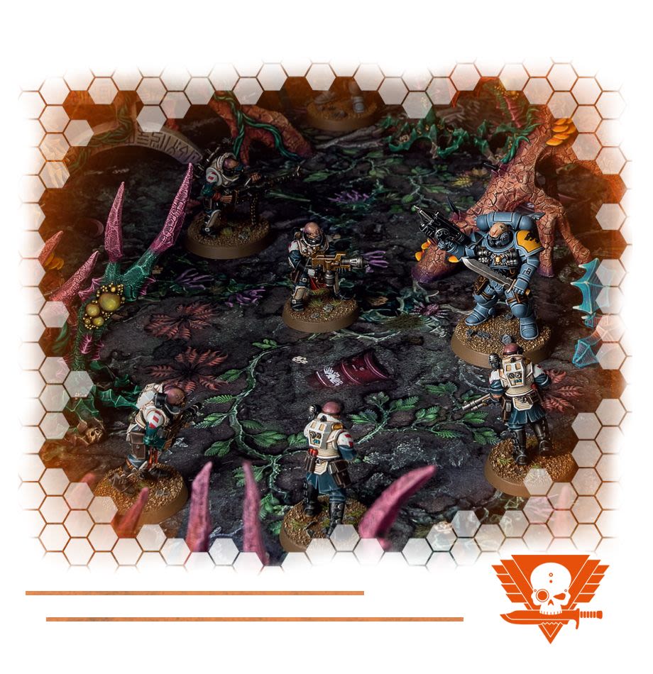 KILLZONE: DEATH WORLD FOREST (SPANISH)7