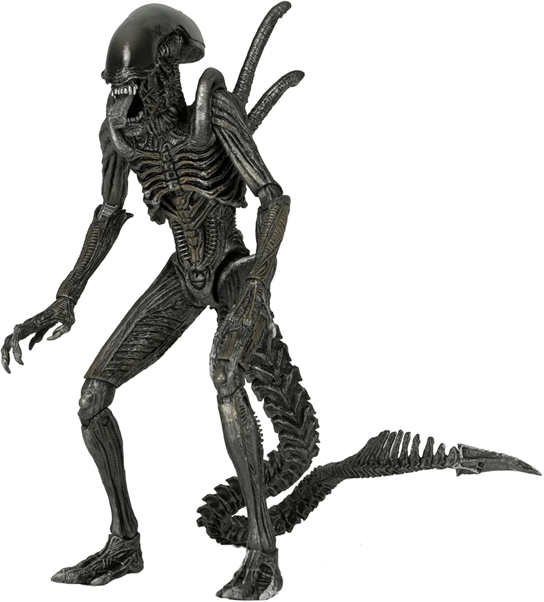 AVP WARRIOR ALIEN1